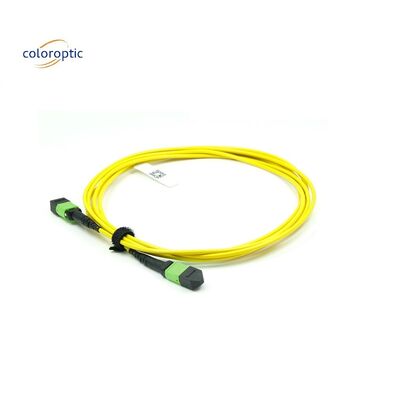 OM3 MPO Patch Cord 12 Core Aqua Fiber Optic Connector για αποτελεσματική δικτύωση