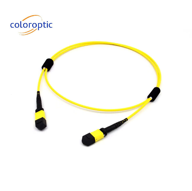 Πολλαπλής λειτουργίας ίνες MTP MPO 16 FIBRE OM5 (50/125) PATCH CABLE για SR8 400G QSFP-DD και OSFP 400G SR8 PAM4